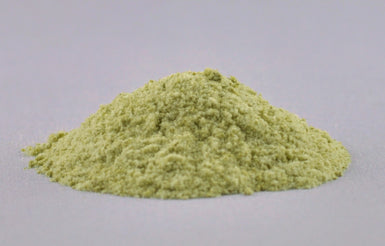 Euglena
